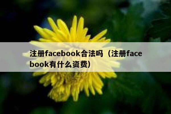 注册facebook合法吗（注册facebook有什么资费） 第1张