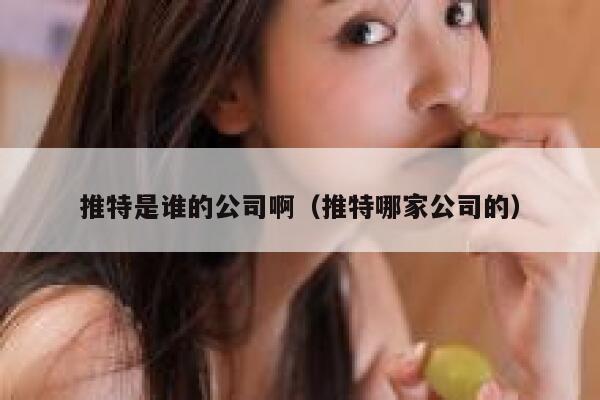 推特是谁的公司啊(推特哪家公司的) 第1张 推特是谁的公司啊(推特哪家公司的) 第1张
