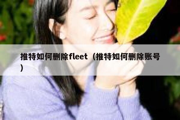 推特如何删除fleet(推特如何删除账号) 第1张 推特如何删除fleet(推特如何删除账号) 第1张