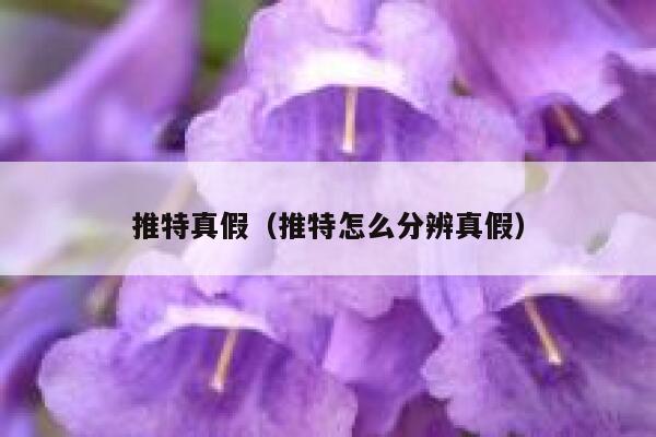 推特真假(推特怎么分辨真假) 第1张 推特真假(推特怎么分辨真假) 第1张