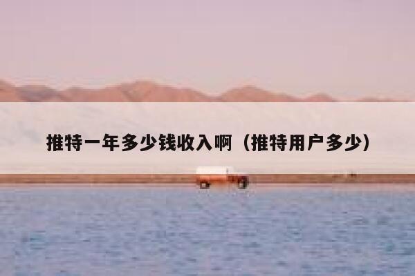推特一年多少钱收入啊(推特用户多少) 第1张 推特一年多少钱收入啊(推特用户多少) 第1张