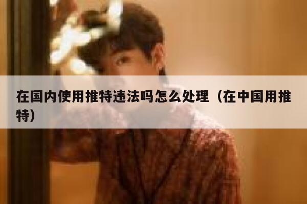 在国内使用推特违法吗怎么处理(在中国用推特) 第1张 在国内使用推特违法吗怎么处理(在中国用推特) 第1张