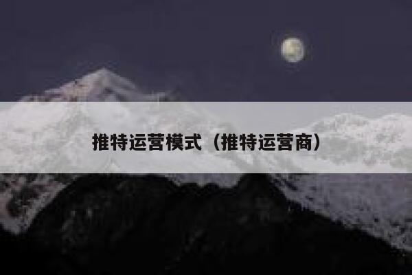 推特运营模式(推特运营商) 第1张 推特运营模式(推特运营商) 第1张