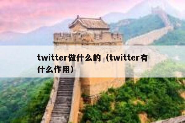 twitter做什么的(twitter有什么作用) 第1张 twitter做什么的(twitter有什么作用) 第1张