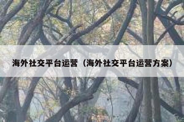 海外社交平台运营(海外社交平台运营方案) 第1张 海外社交平台运营(海外社交平台运营方案) 第1张