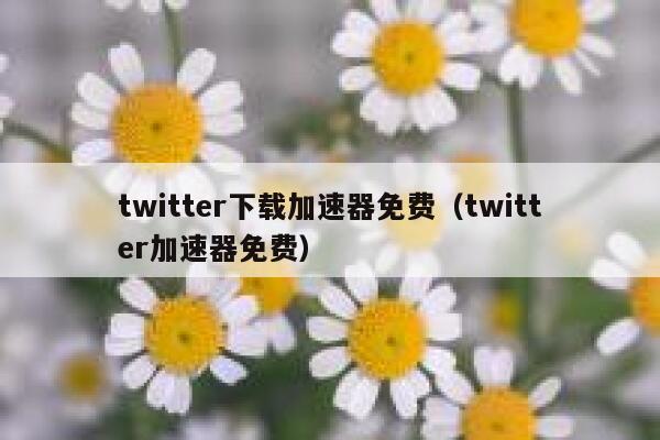 twitter下载加速器免费(twitter加速器免费) 第1张 twitter下载加速器免费(twitter加速器免费) 第1张