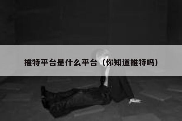 推特平台是什么平台(你知道推特吗) 第1张 推特平台是什么平台(你知道推特吗) 第1张