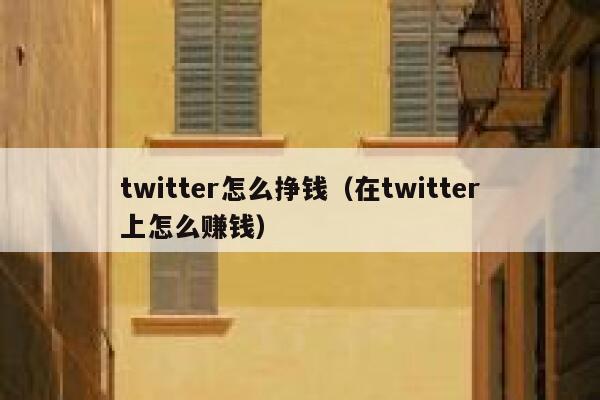 twitter怎么挣钱（在twitter上怎么赚钱） 第1张