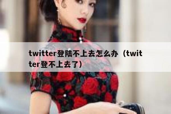 twitter登陆不上去怎么办(twitter登不上去了) 第1张 twitter登陆不上去怎么办(twitter登不上去了) 第1张