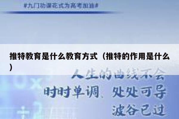 推特教育是什么教育方式（推特的作用是什么） 第1张