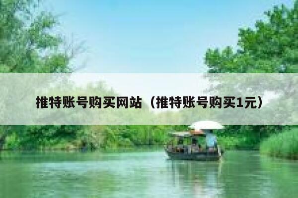 推特账号购买网站（推特账号购买1元） 第1张