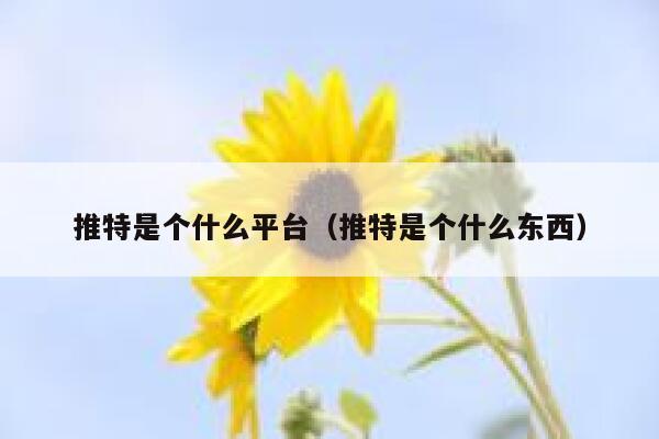 推特是个什么平台(推特是个什么东西) 第1张 推特是个什么平台(推特是个什么东西) 第1张
