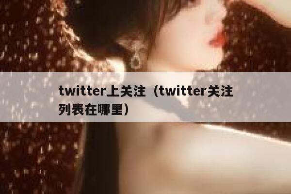 twitter上关注(twitter关注列表在哪里) 第1张 twitter上关注(twitter关注列表在哪里) 第1张