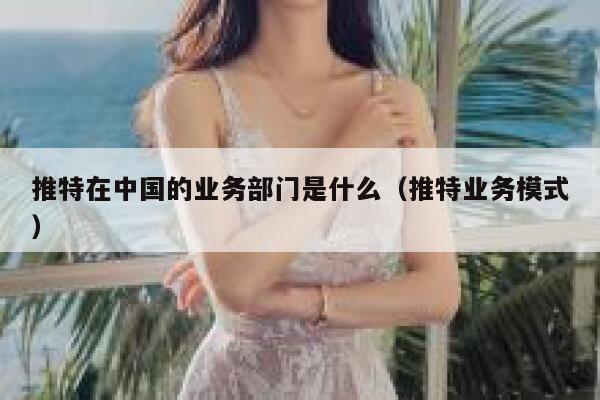 推特在中国的业务部门是什么（推特业务模式） 第1张