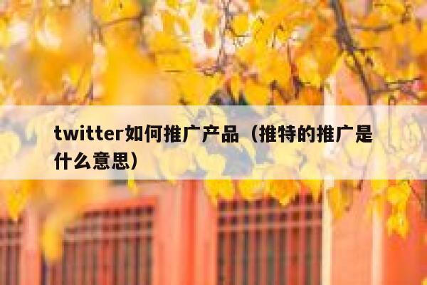 twitter如何推广产品(推特的推广是什么意思) 第1张 twitter如何推广产品(推特的推广是什么意思) 第1张