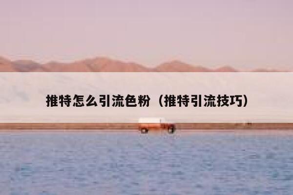 推特怎么引流色粉(推特引流技巧) 第1张 推特怎么引流色粉(推特引流技巧) 第1张