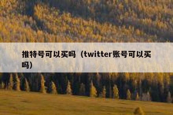 推特号可以买吗（twitter账号可以买吗） 第1张