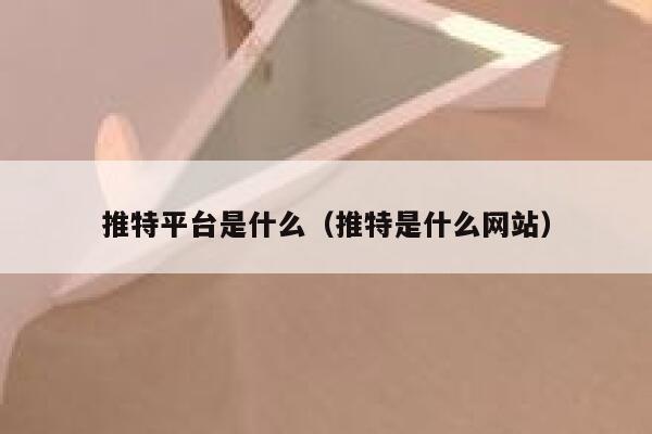 推特平台是什么(推特是什么网站) 第1张 推特平台是什么(推特是什么网站) 第1张