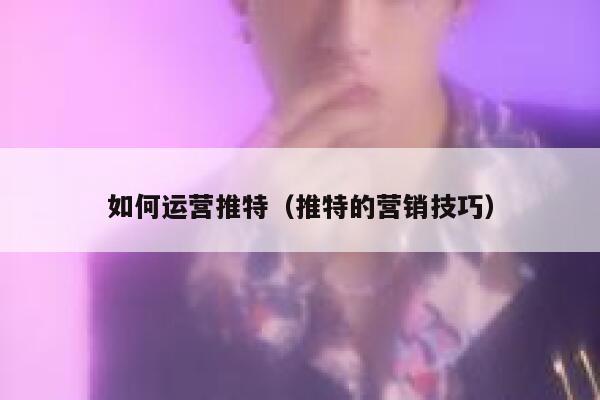 如何运营推特（推特的营销技巧） 第1张