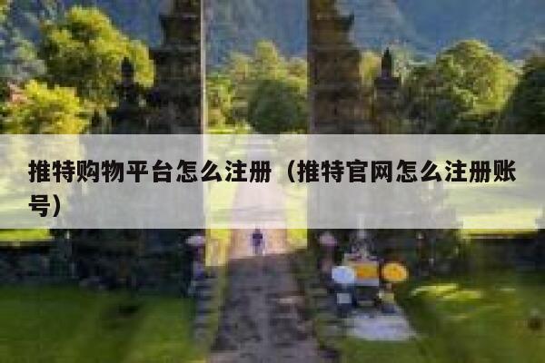 推特购物平台怎么注册（推特官网怎么注册账号） 第1张