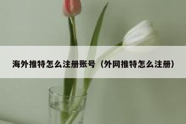 海外推特怎么注册账号（外网推特怎么注册） 第1张