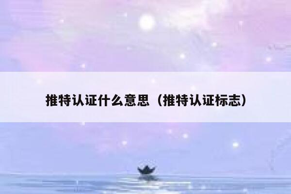 推特认证什么意思（推特认证标志） 第1张