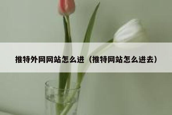 推特外网网站怎么进（推特网站怎么进去） 第1张