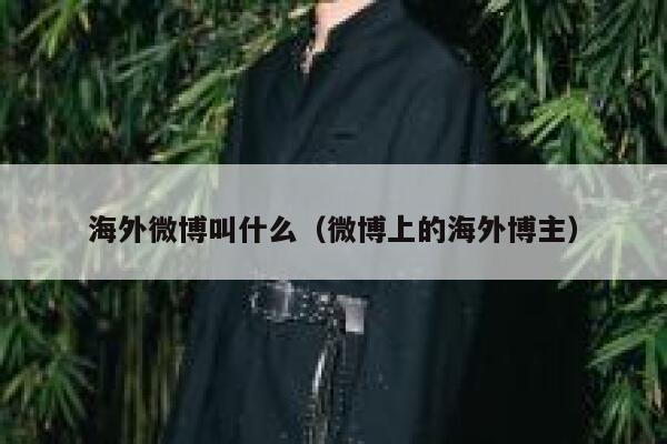 海外微博叫什么(微博上的海外博主) 第1张 海外微博叫什么(微博上的海外博主) 第1张