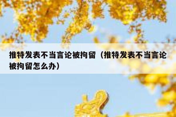 推特发表不当言论被拘留(推特发表不当言论被拘留怎么办) 第1张 推特发表不当言论被拘留(推特发表不当言论被拘留怎么办) 第1张