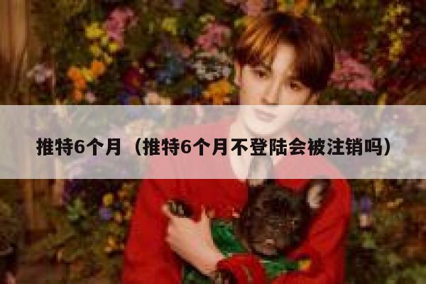 推特6个月(推特6个月不登陆会被注销吗) 第1张 推特6个月(推特6个月不登陆会被注销吗) 第1张