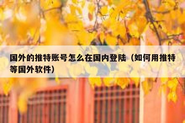 国外的推特账号怎么在国内登陆(如何用推特等国外软件) 第1张 国外的推特账号怎么在国内登陆(如何用推特等国外软件) 第1张
