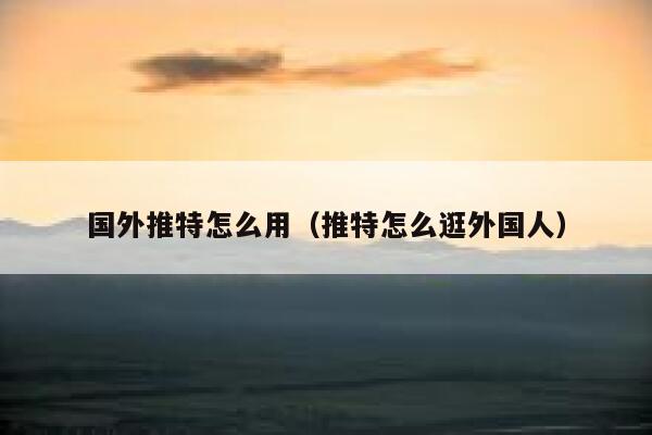 国外推特怎么用(推特怎么逛外国人) 第1张 国外推特怎么用(推特怎么逛外国人) 第1张