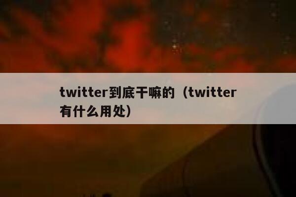 twitter到底干嘛的(twitter有什么用处) 第1张 twitter到底干嘛的(twitter有什么用处) 第1张