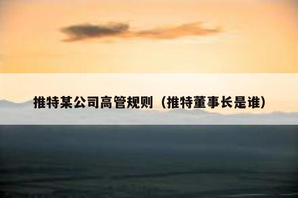 推特某公司高管规则(推特董事长是谁) 第1张 推特某公司高管规则(推特董事长是谁) 第1张
