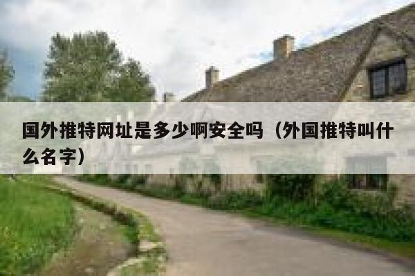 国外推特网址是多少啊安全吗(外国推特叫什么名字) 第1张 国外推特网址是多少啊安全吗(外国推特叫什么名字) 第1张