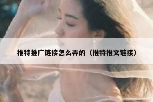 推特推广链接怎么弄的（推特推文链接） 第1张