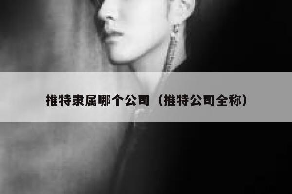 推特隶属哪个公司（推特公司全称） 第1张