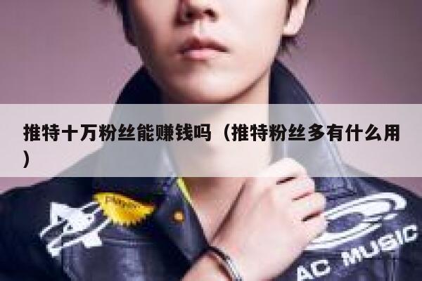 推特十万粉丝能赚钱吗（推特粉丝多有什么用） 第1张