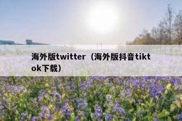 海外版twitter（海外版抖音tiktok下载） 第1张