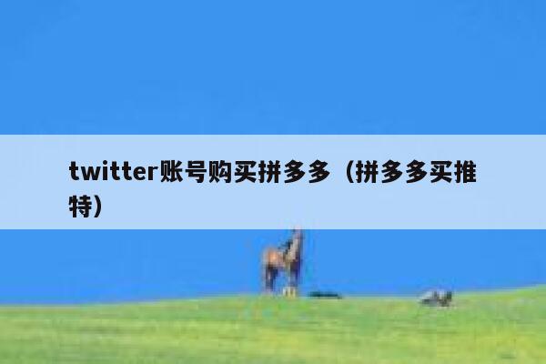 twitter账号购买拼多多（拼多多买推特） 第1张
