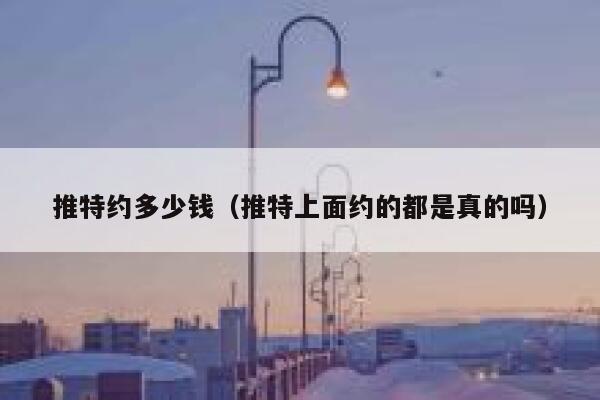 推特约多少钱（推特上面约的都是真的吗） 第1张