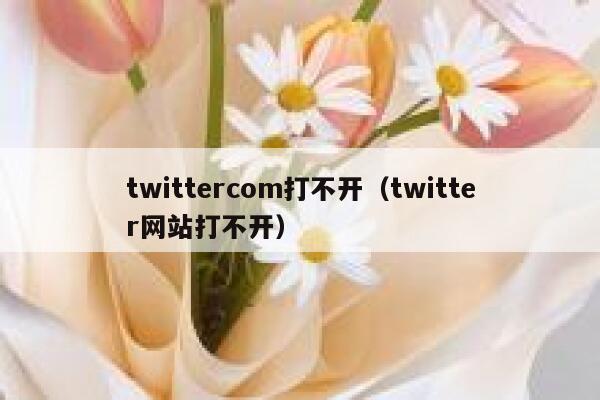 twittercom打不开(twitter网站打不开) 第1张 twittercom打不开(twitter网站打不开) 第1张