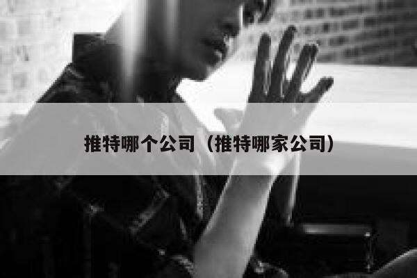 推特哪个公司（推特哪家公司） 第1张