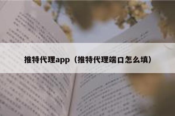 推特代理app(推特代理端口怎么填) 第1张 推特代理app(推特代理端口怎么填) 第1张