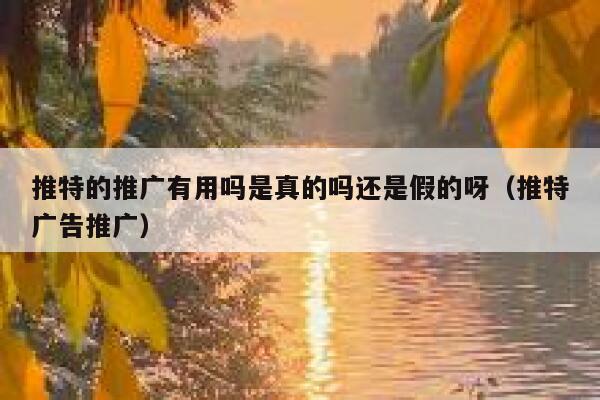 推特的推广有用吗是真的吗还是假的呀(推特广告推广) 第1张 推特的推广有用吗是真的吗还是假的呀(推特广告推广) 第1张