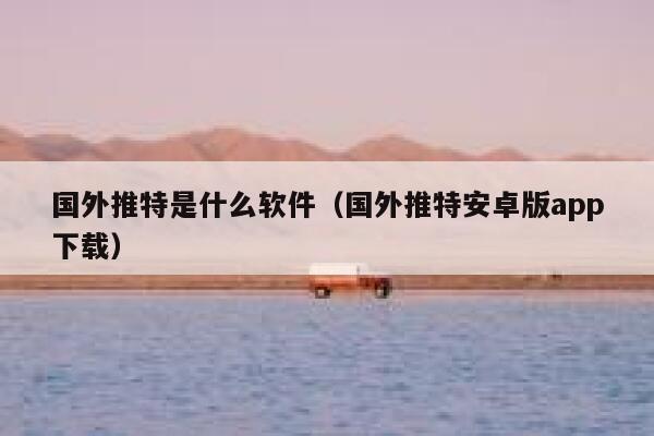 国外推特是什么软件（国外推特安卓版app下载） 第1张