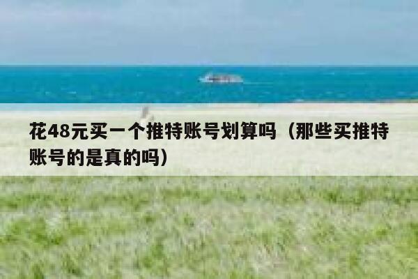 花48元买一个推特账号划算吗（那些买推特账号的是真的吗） 第1张