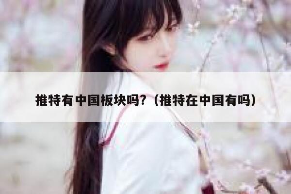 推特有中国板块吗?（推特在中国有吗） 第1张