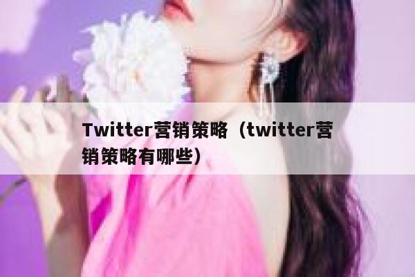Twitter营销策略(twitter营销策略有哪些) 第1张 Twitter营销策略(twitter营销策略有哪些) 第1张