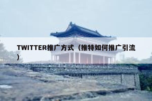 TWITTER推广方式（推特如何推广引流） 第1张